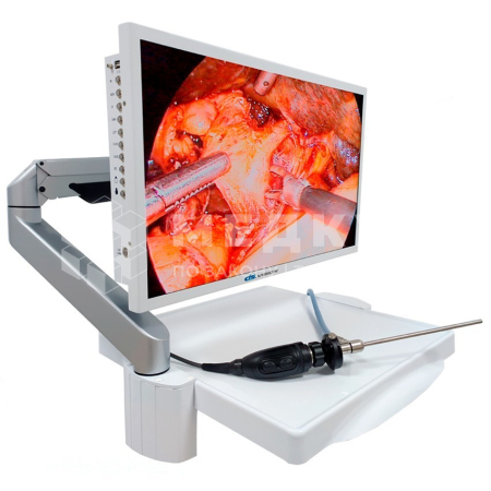 Эндоскопическая видеосистема DS.Vision FHD 3 in 1 24"